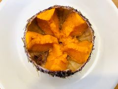 -海胆小馆(东北水饺·春柳店)