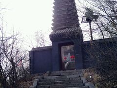 -高尔山公园