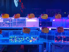 -中环花鸟鱼虫市场