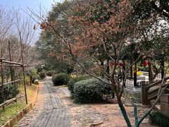 -雨花胜境