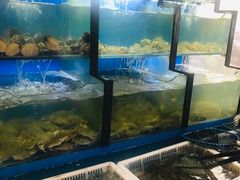 水产区-老东镇啤酒屋海鲜加工·蒸汽海鲜·海鲜烧烤(台东店)