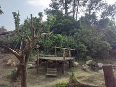 -宁波野生动物园