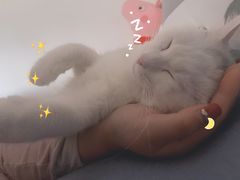 -芭比堂动物医院广州顽皮分院
