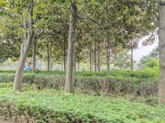 -狼山风景名胜区