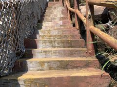 -广州白江湖森林公园