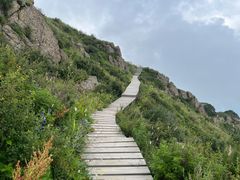 -白草畔自然风景区