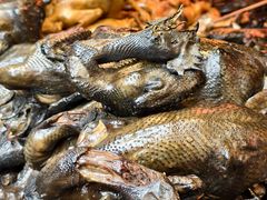 -老字号周记古蔺麻辣鸡·非物质文化遗产传承店