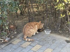 -大兴滨河森林公园