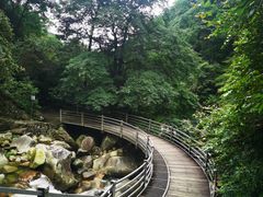 -大鄣山卧龙谷景区