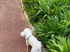 -宠福鑫康馨动物医院·骨科·眼科