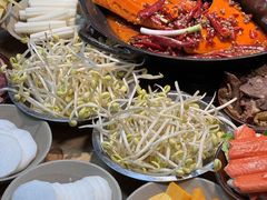 -阳阳老火锅(小南门店)