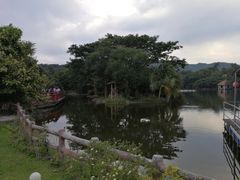 -清迈夜间动物园