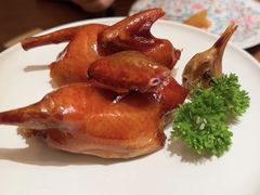 -觅唐MITONG(鸟巢店)