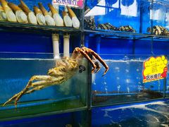 -蚝专家(北滘店)