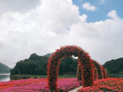 -广州市石门国家森林公园