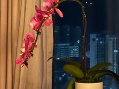 -珠海中海雅高铂尔曼酒店