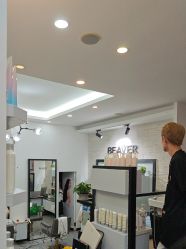 -798·beaver海狸荟