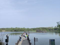 -溱湖国家湿地公园