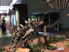 -自贡恐龙博物馆