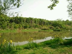 -白鹭湾湿地公园