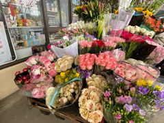 -三圣花乡旅游区