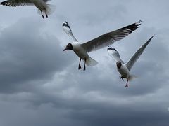 -花湖生态旅游区