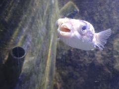 -太平洋海底世界