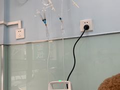 -纳吉亚猫专科动物诊疗中心(蒋宅口分院)