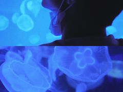 -多彩贵州城极地海洋世界