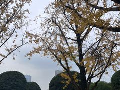 -重庆中央公园(渝北区)