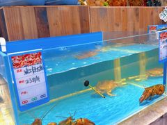 -海鸿荟·沿江菜(中山北路店)