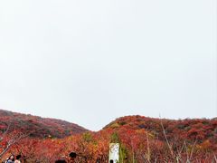 -周口店坡峰岭风景区
