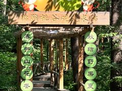 -大岭沟猕猴桃谷风景区