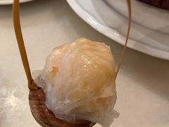 -金鼎轩(方庄天坛店)
