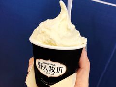 -野人先生现做冰淇淋(西安赛格店)