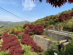 -四明山国家森林公园