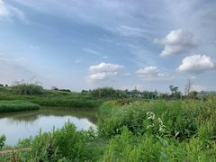 -光明小镇欢乐田园