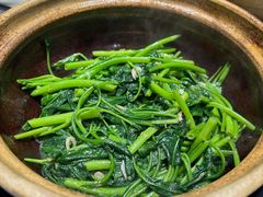 啫啫煲虾酱空心菜-熠盛粤味·顺德桑拿鸡(永康路店)