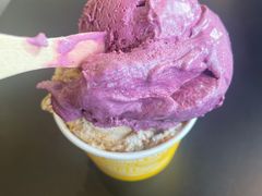 蓝莓酸奶-Patagonia Chocolates(皇后镇店)