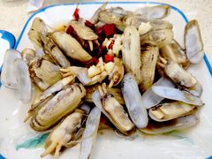 蛏子-渔中舟海鲜大排档(普陀沈家门店)