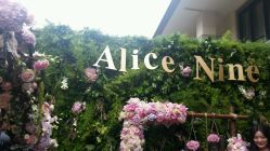 android_upload_pic-Alice Nine婚礼艺术空间(总店)