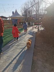 -萌宠亲子动物乐园(槐房万达店)