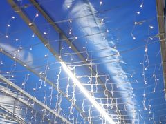 -墨脱石锅椰子鸡•香草鸭•东山羊(大东海店)