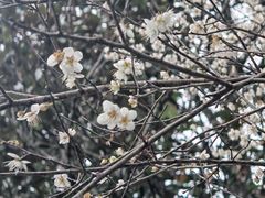 -小七孔景区-六十八级跌水瀑布