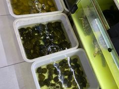 -中环花鸟鱼虫市场