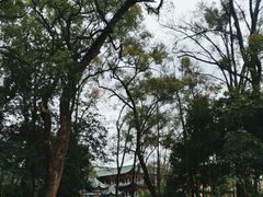 -南华禅寺
