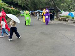 -星湖旅游景区七星岩