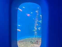 -欢乐海岸海洋奇梦馆