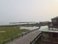 -新木器时代餐厅(太湖新天地店)