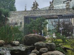 -昆明植物园